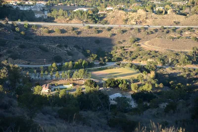 DSC_5555 (Large).JPG